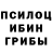Псилоцибиновые грибы GOLDEN TEACHER StarFox