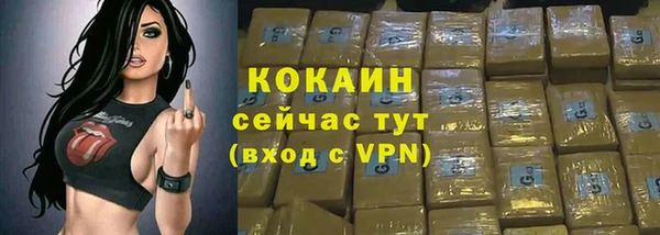 ПСИЛОЦИБИНОВЫЕ ГРИБЫ Абаза