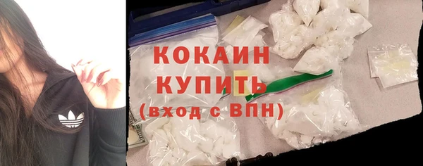 ПСИЛОЦИБИНОВЫЕ ГРИБЫ Абаза