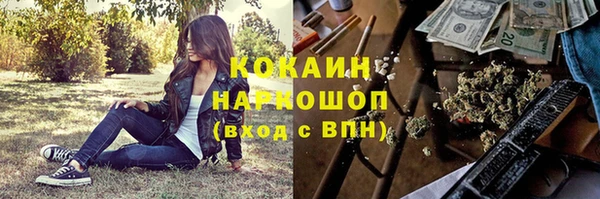 шишки Алексин