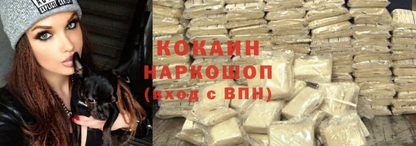 шишки Алексин