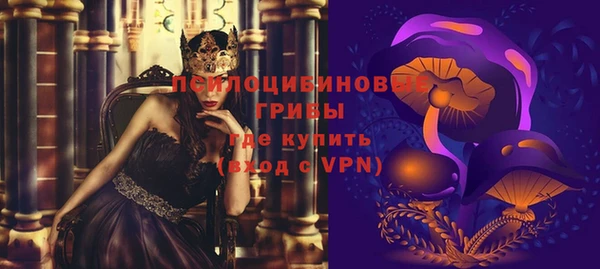 шишки Алексин