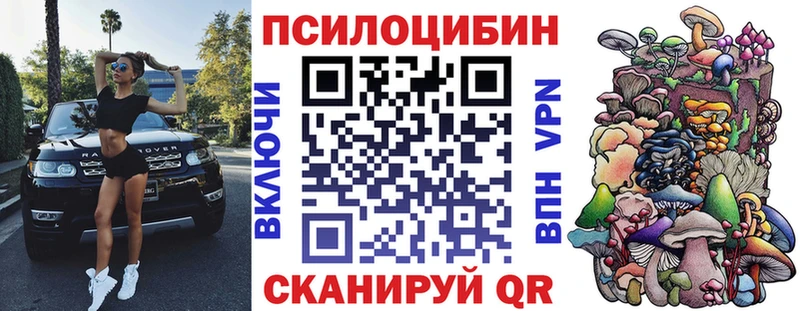 где найти наркотики  Краснокамск  Галлюциногенные грибы Psilocybine cubensis 
